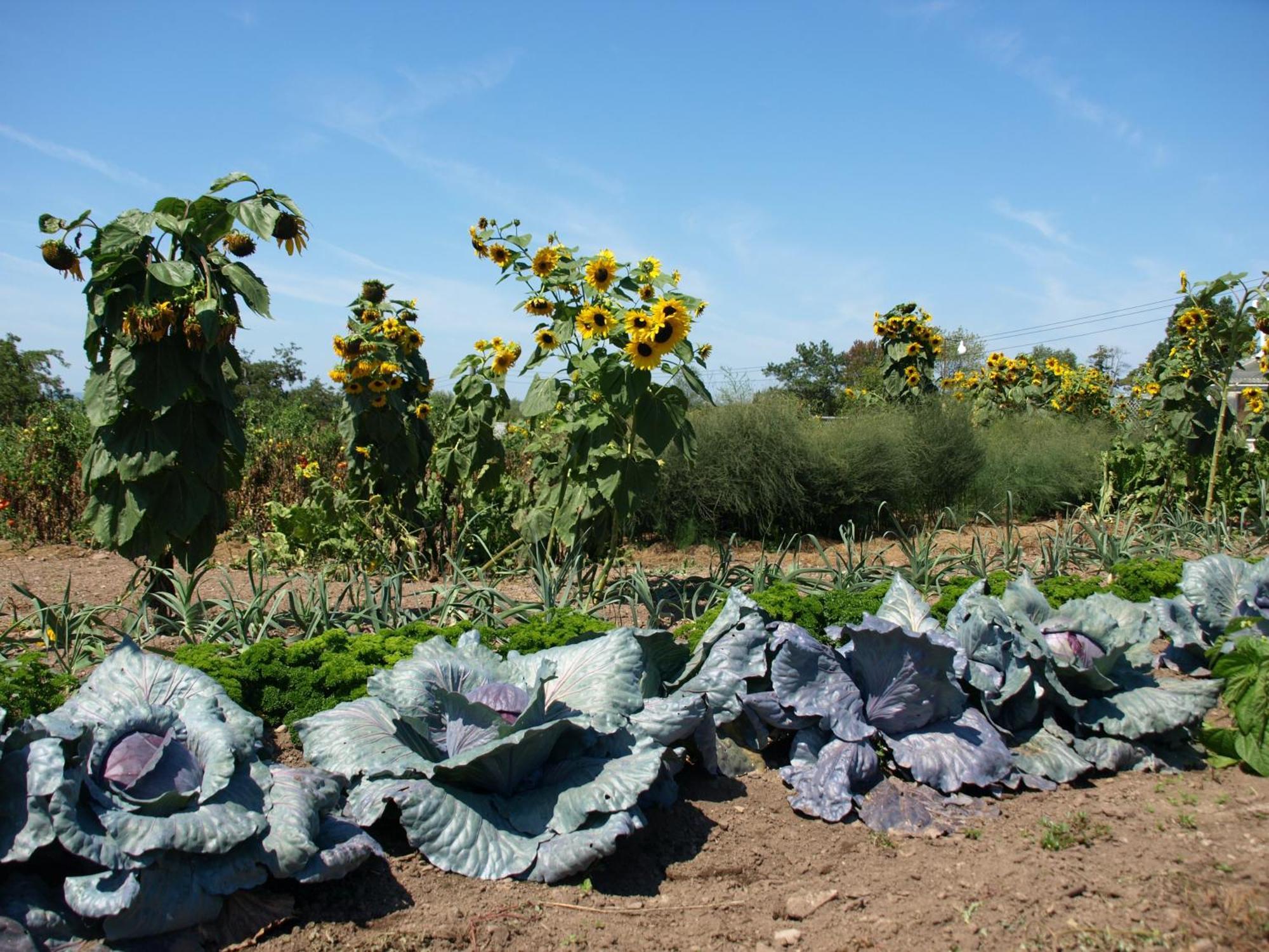 Hawley Lukans Farm Resort מראה חיצוני תמונה
